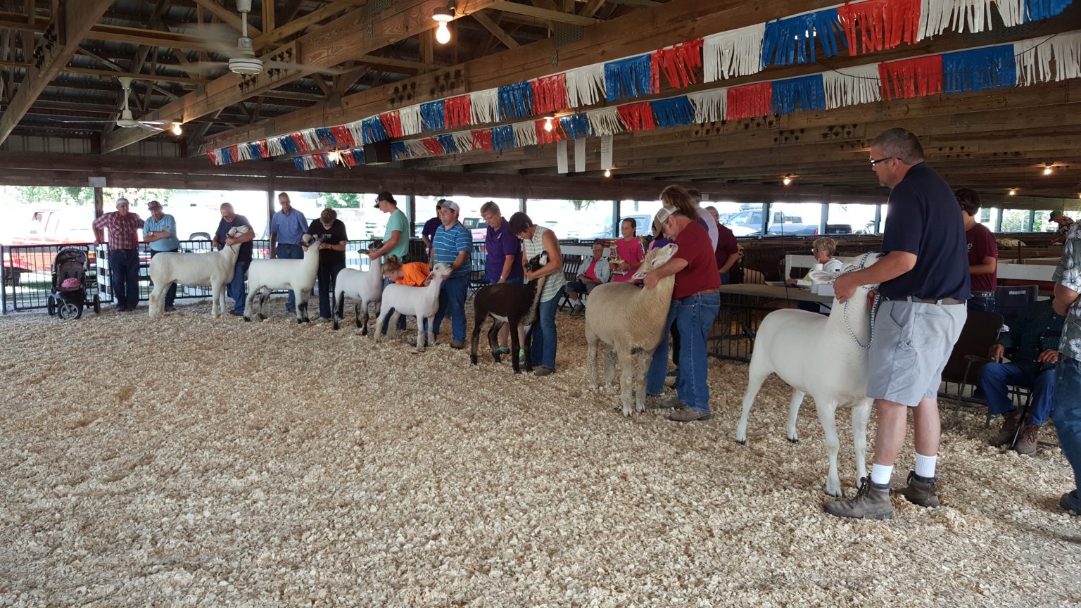 Entries/Premiums Whiteside County Fair