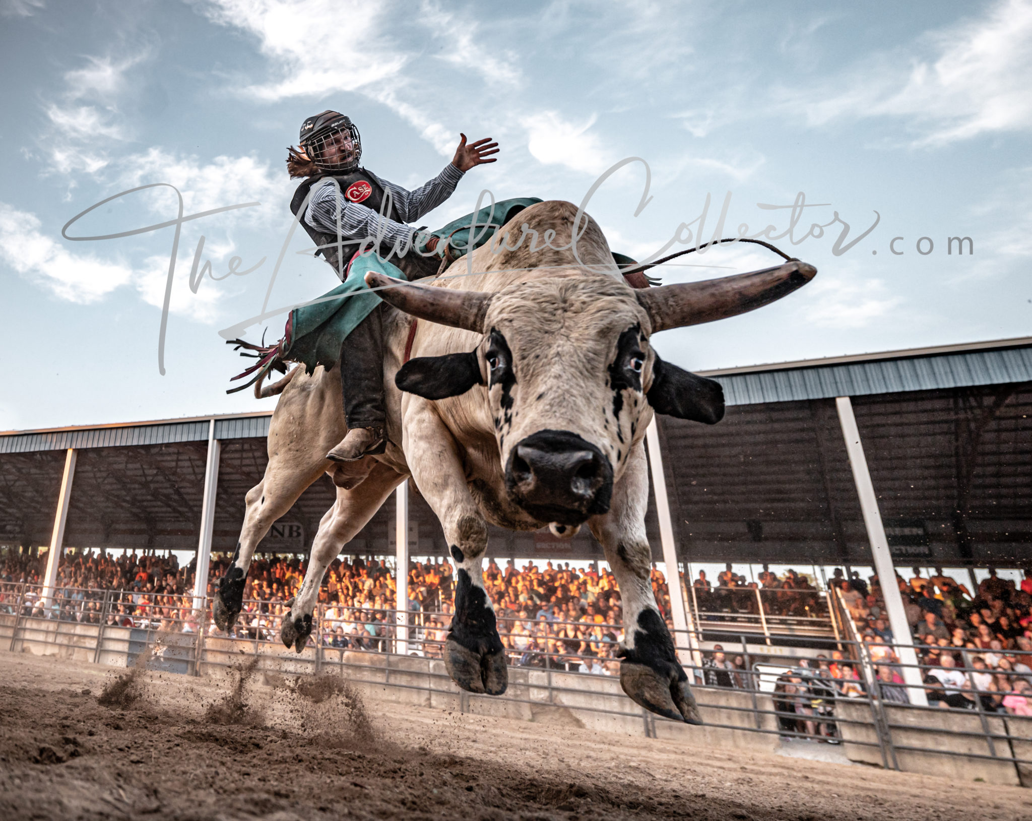 Entertainment Whiteside County Fair