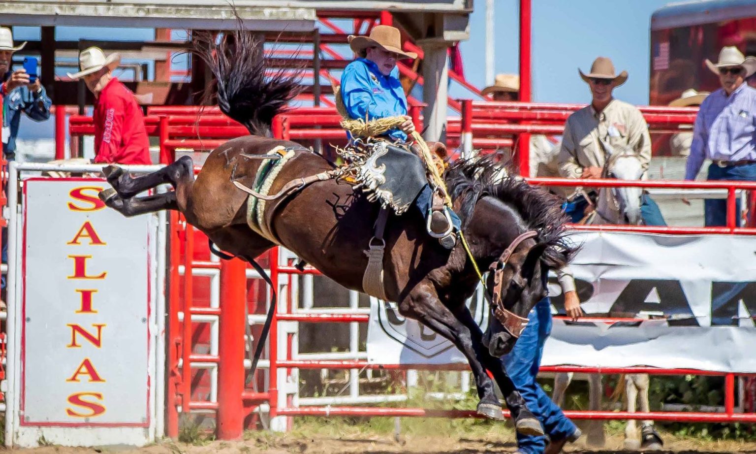 Entertainment Whiteside County Fair